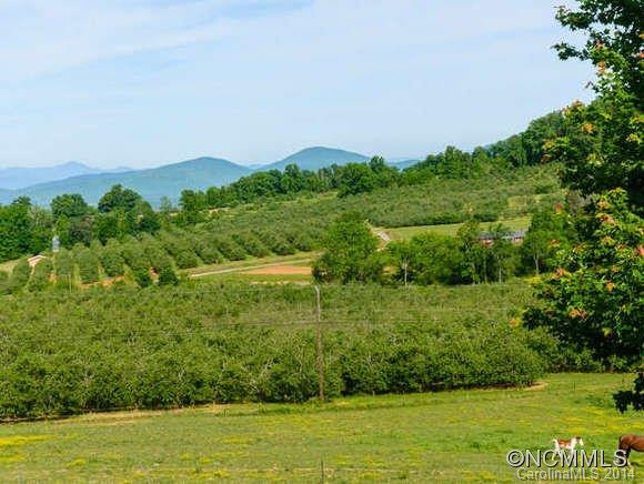 42 Appleola Road - Photo 2