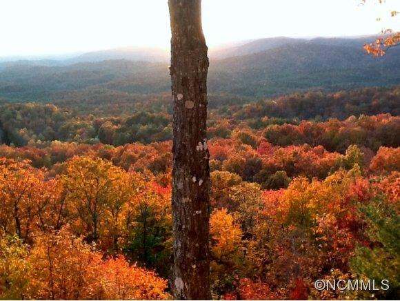150 Panther Cove - Photo 23