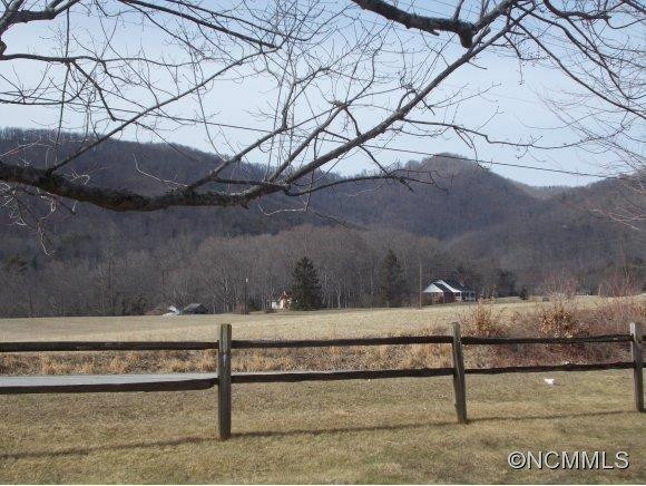 841 Reems Creek Rd - Photo 3
