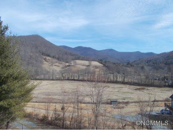 841 Reems Creek Rd - Photo 4