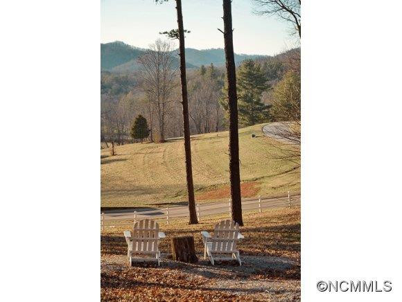 320 Bradenton Knoll - Photo 24