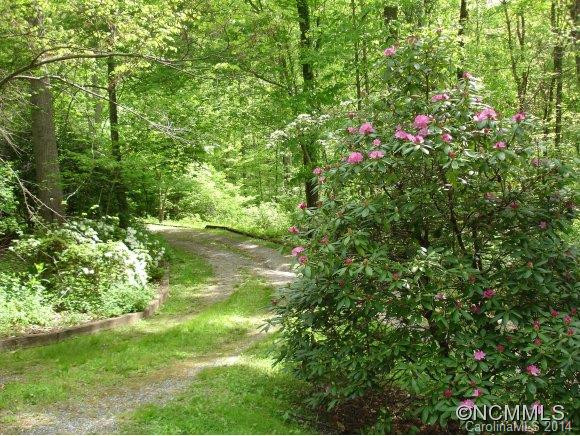 189 Wildwood Drive - Photo 14