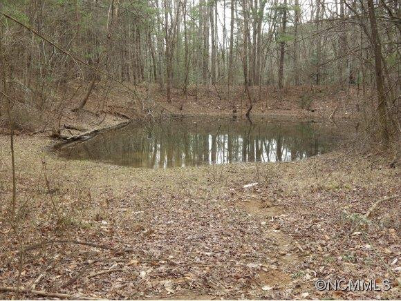 420 Mills Gap Road - Photo 3