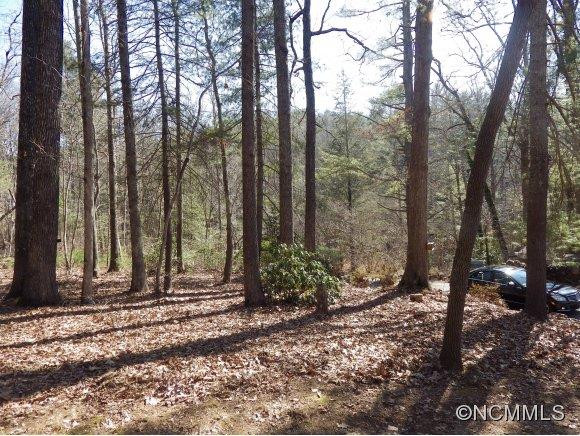 420 Mills Gap Road - Photo 22