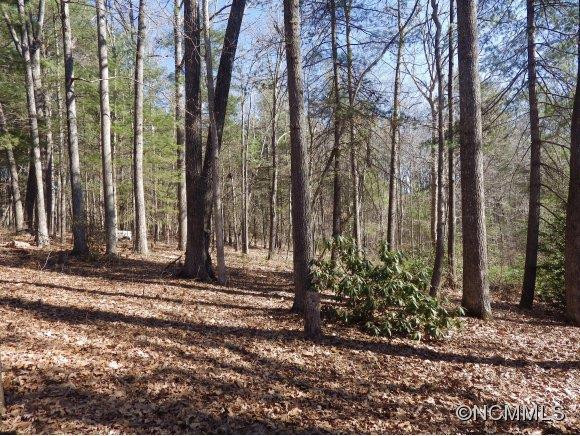 420 Mills Gap Road - Photo 4