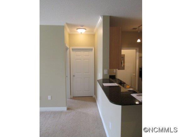 1000 Olde Eastwood Village # 106 - Photo 10