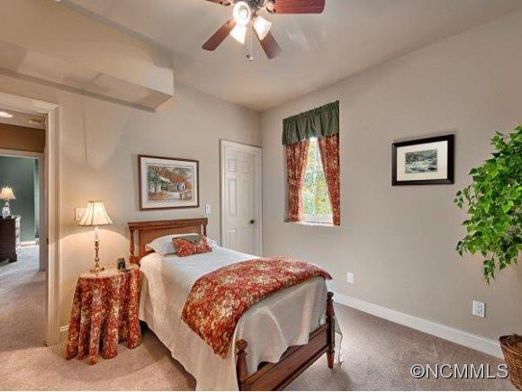 165 Mistletoe Trail - Photo 16
