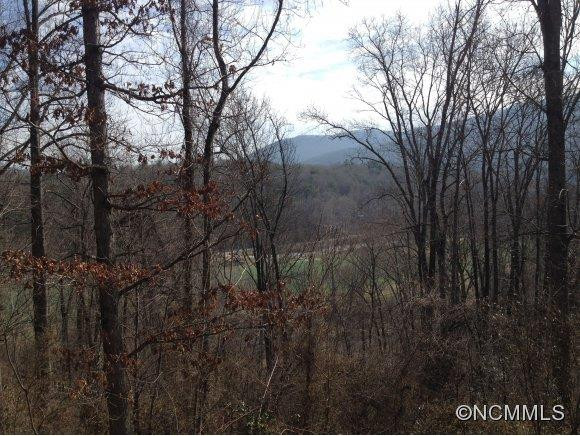 106 Gashes Creek Road - Photo 2