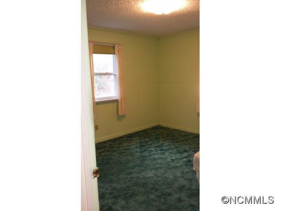 804 Upper Glady Fork Road - Photo 14