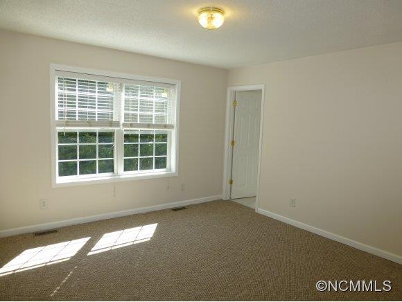 171 Swannanoa Avenue - Photo 7