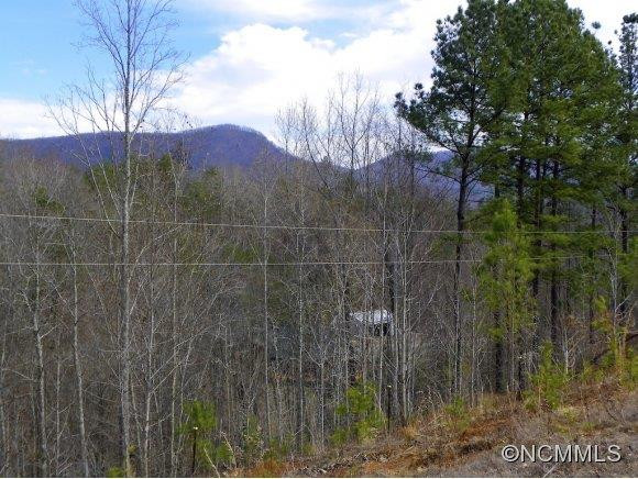 219 Burning Tree Lane - Photo 21