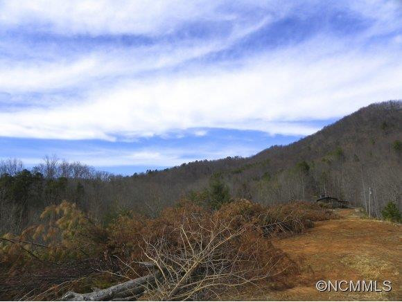 219 Burning Tree Lane - Photo 22