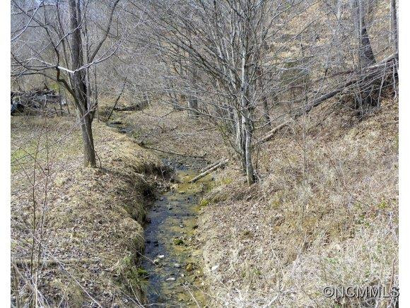 219 Burning Tree Lane - Photo 24