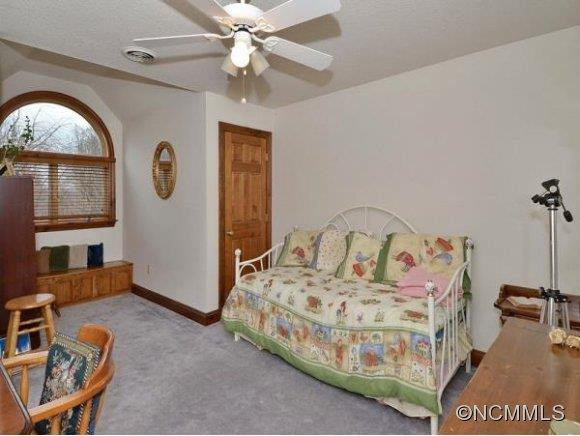 904 NEW HAW CREEK - Photo 10