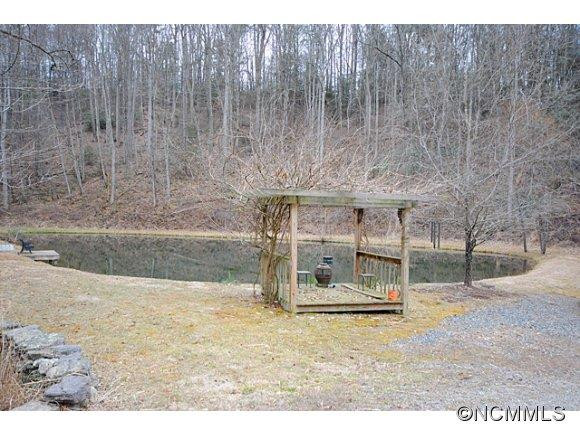 97 Sandy Mush Creek Rd - Photo 3