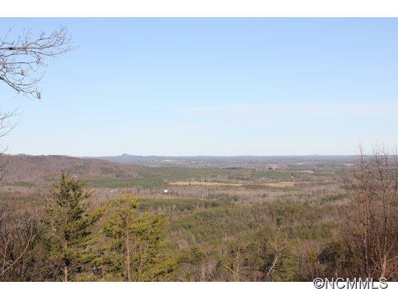 995 Towery Trace - Photo 2