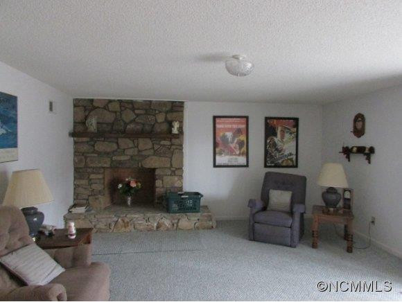 491 Meadowood Lane - Photo 5