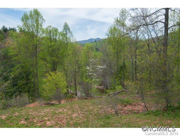 215 Cass Kell Lane - Photo 12