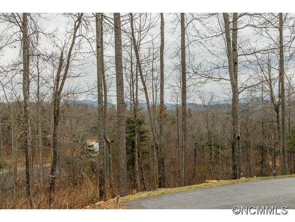 901 Summit Springs Drive - Photo 20