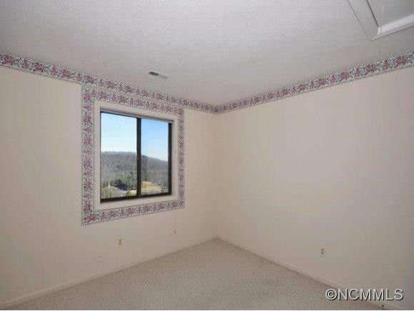 510 DAVIS MOUNTAIN RD - Photo 11
