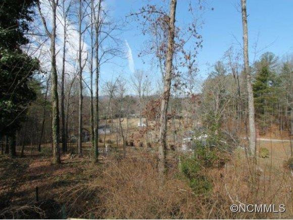 222 TIMBERLANE DR - Photo 14