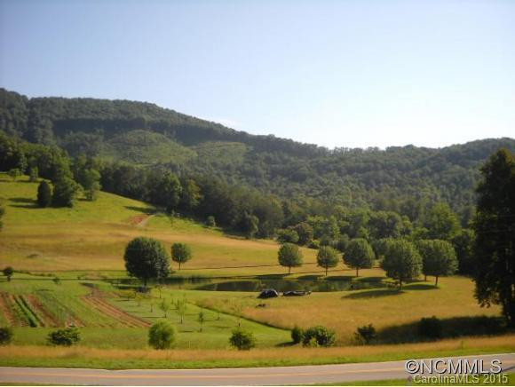 341 Curtis Creek Road - Photo 2