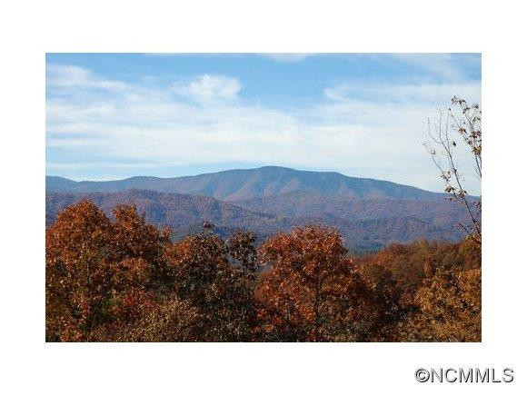 530 Winding Branch Trail - Photo 2