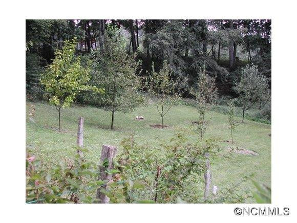 530 Winding Branch Trail - Photo 20