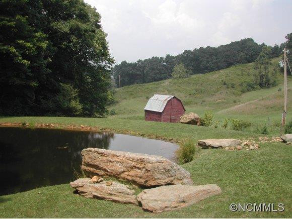 530 Winding Branch Trail - Photo 3