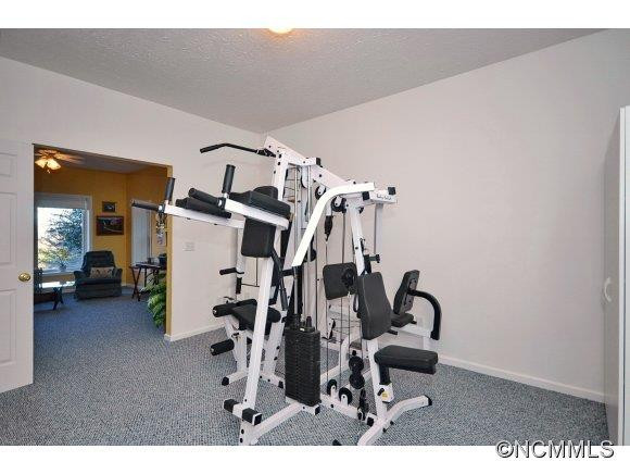 283 Grapevine Cove - Photo 16