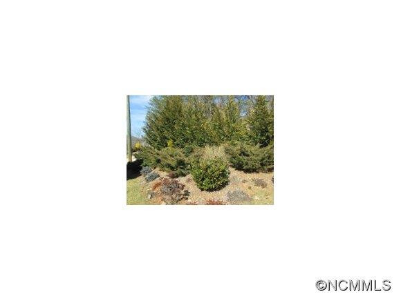 132 Lower Grassy Branch - Photo 15