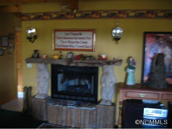 767 Wolf Laurel Drive - Photo 3
