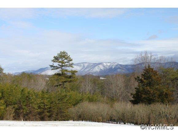 5061 Windy Woods - Photo 4