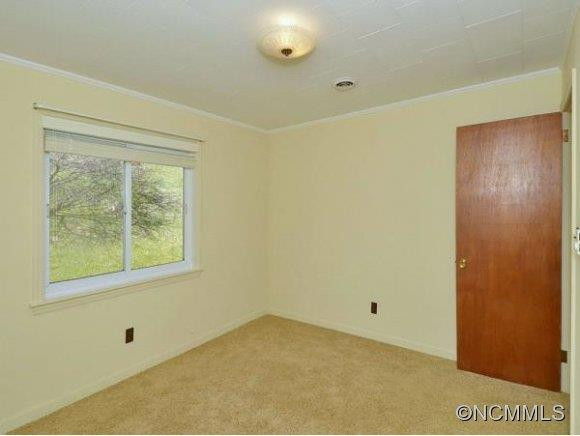 124 UPPER FLAT CREEK RD - Photo 9
