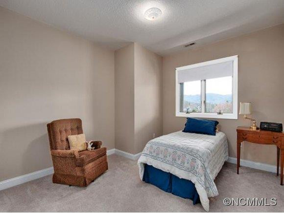 13 MEADOWBROOK LANE - Photo 16