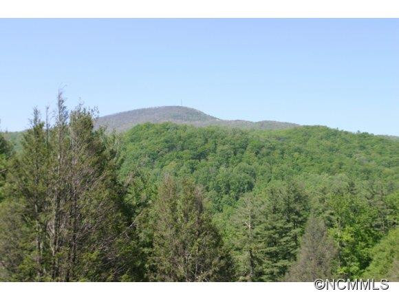 45 Thomasville Lane - Photo 3