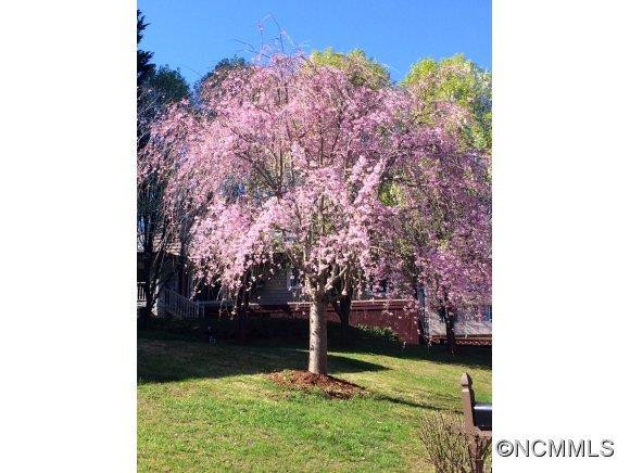 3 Wildwood Ln - Photo 21