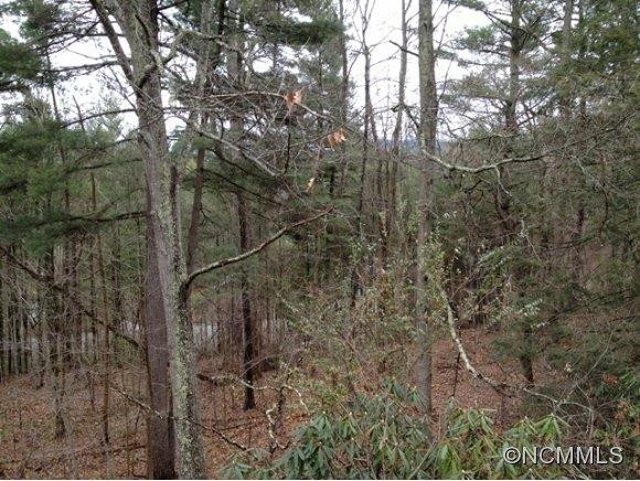 38 Leisure Mountain Rd - Photo 10
