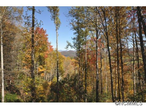126 Ridges Loop - Photo 2