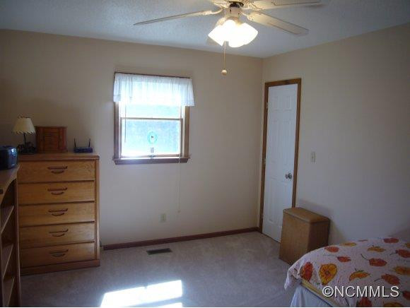 15 Scenic View Drive - Photo 12