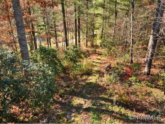263 JUMP CREEK ROAD - Photo 4