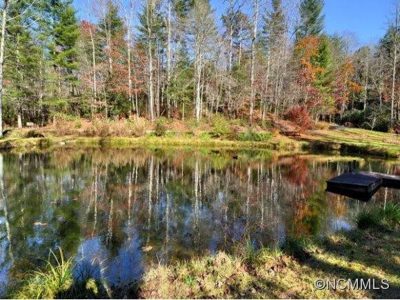 263 JUMP CREEK ROAD - Photo 7