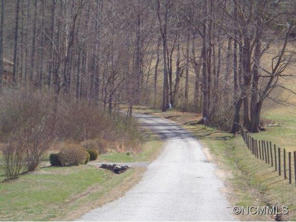 45 Twisted Birch Drive - Photo 22