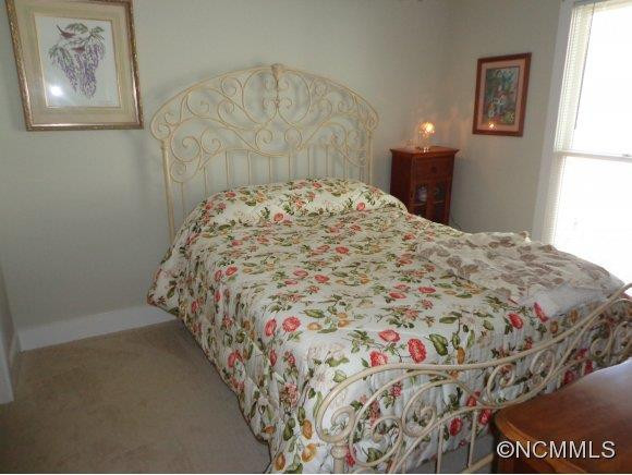 45 Twisted Birch Drive - Photo 8