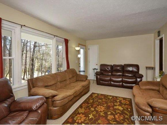 205 MEADOW WOODS DRIVE - Photo 6