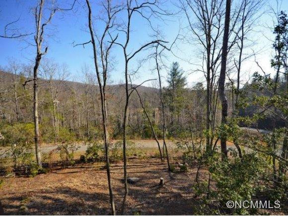 48 BENT CREEK PRESERVE RD - Photo 4