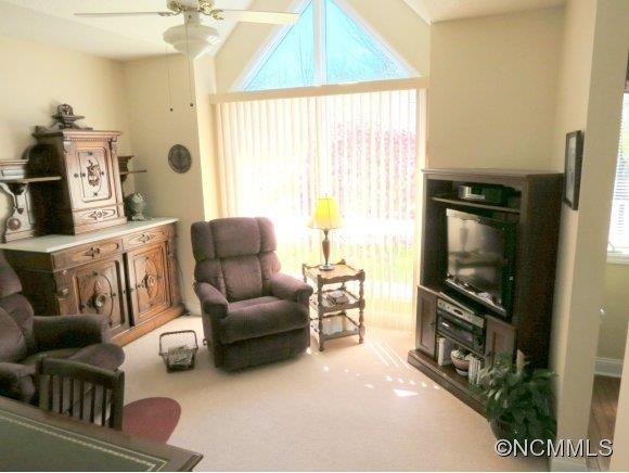 119 Carriage Walk Lane - Photo 13