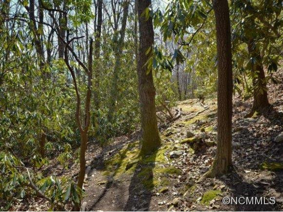 3 BAILEY RUN - Photo 24