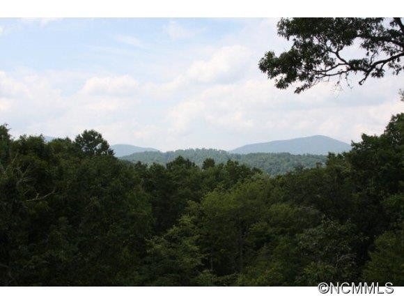 132 Crimson View Lane - Photo 2