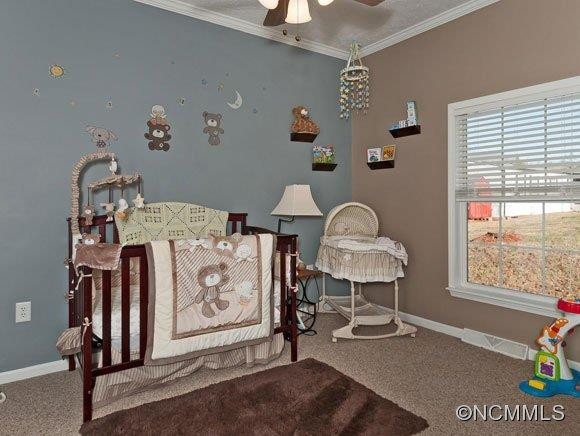 11 East Mountain Way - Photo 11